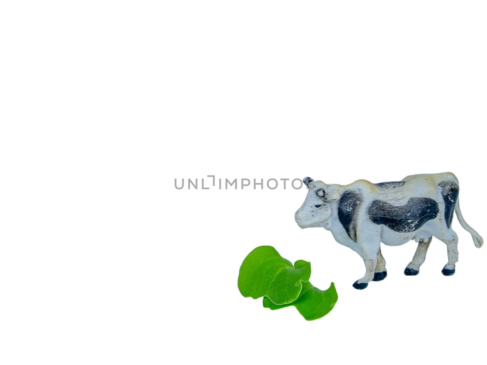 Animal white cow with black spots eats green grass. Livestock cow. Green grass. Cattle breeding. Livestock farm. Agriculture. Cattle. Milk farm. Dairy cows. Cows in the pasture. Childrens toy.