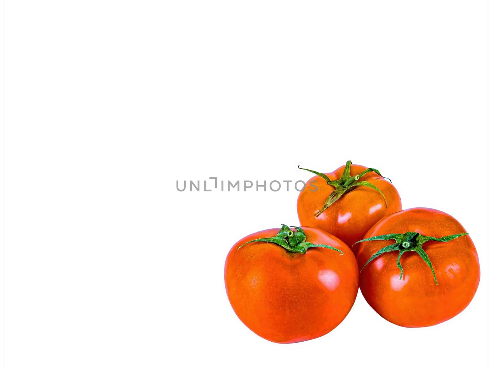 Red tomatoes vegetables on a white background. Red tomato vegetable. Harvesting tomato. Agriculture. White background. Vegetarian food. Background image.