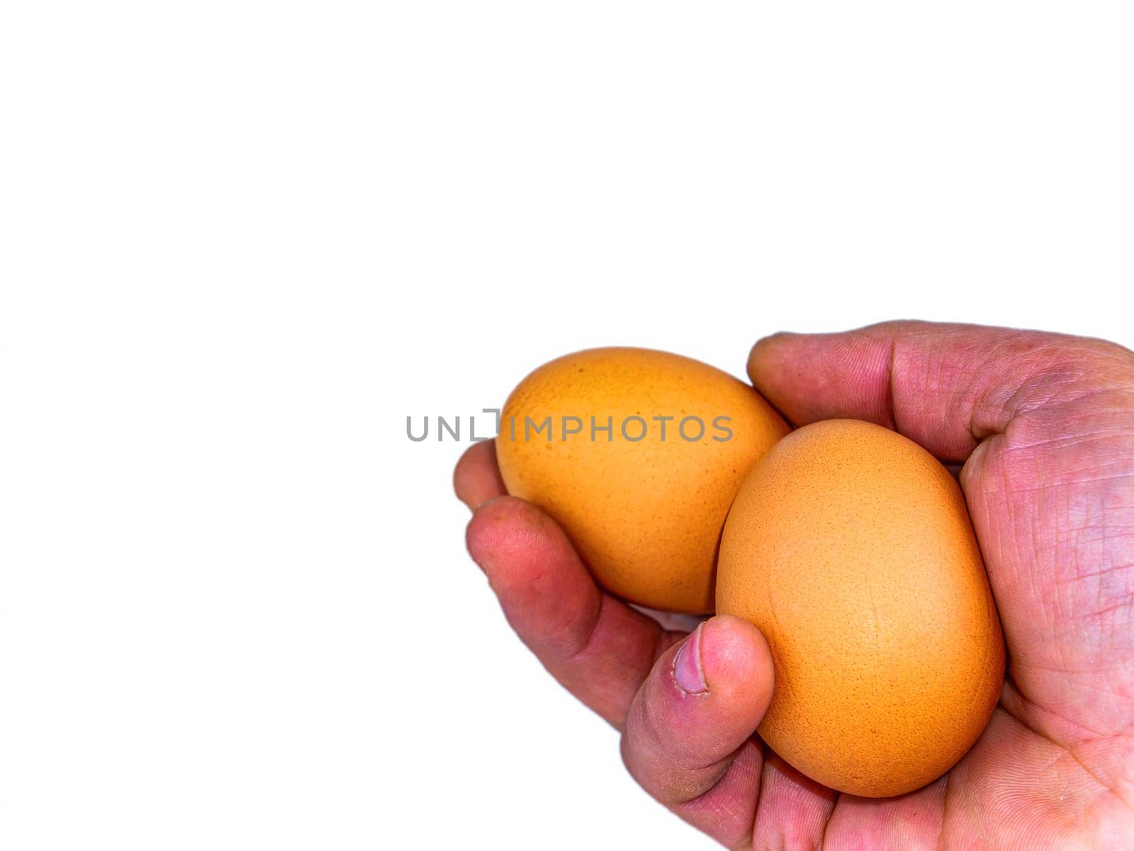Two chicken eggs in a man's hand. Egg. Human hand palm. Healthy food. Poultry products. Chicken egg shells. Hands of a man. Agricultural business. Eco food. White background.