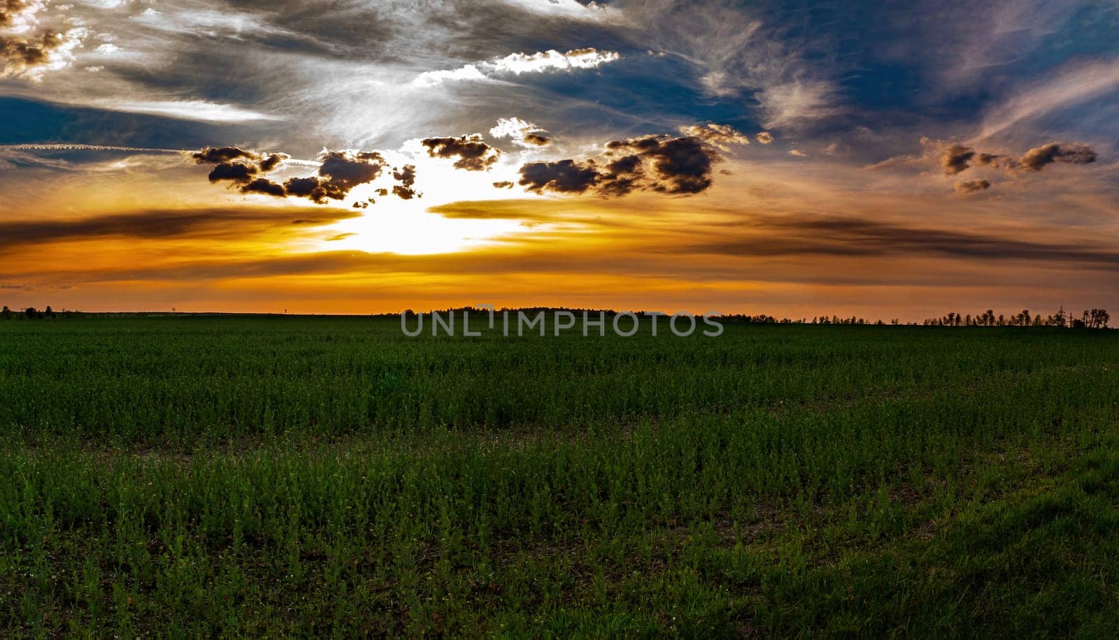 Clouds in the orange rays of the sunset over a green farm field. Sunny sunset. Blue sky with clouds. Cloudy horizon. Evening twilight. Agriculture. Farm field. Morning sunrise. Natural landscape.