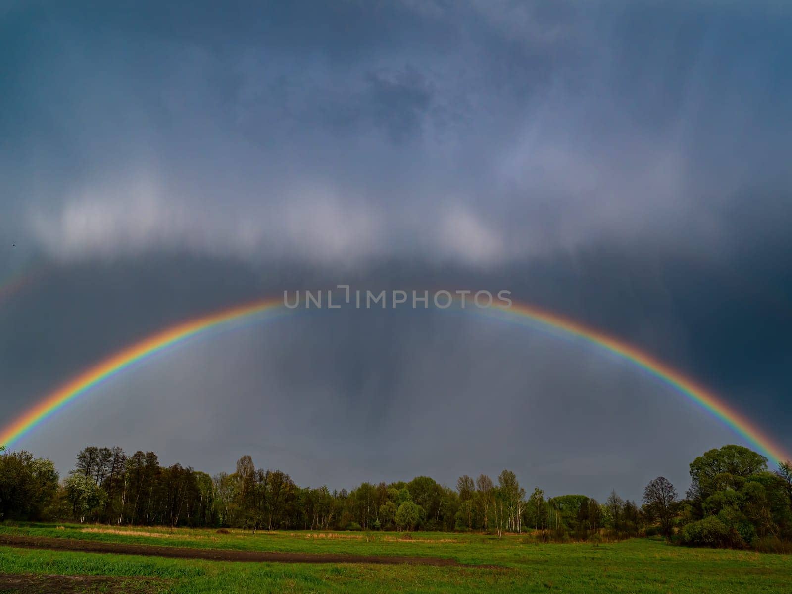 Rainbow with rain clouds in the sky. Colored rainbow. Color spectrum. Rain clouds. Gloomy sky. Green tree crowns. Natural landscape. Atmospheric phenomenon. Weather. Background.