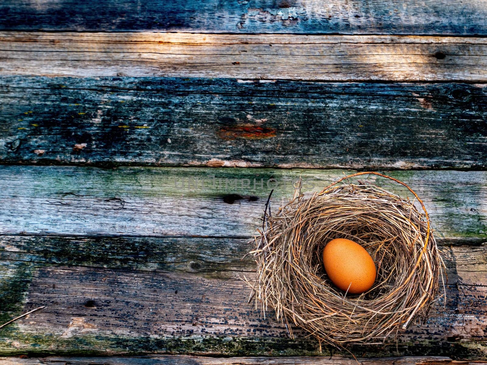 Chicken eggs in a bird's nest on a wooden table. Egg. Easter eggs. Bird egg in the nest. Easter tradition. Diet food. Agricultural poultry farming. Agricultural business. Livestock farm. Product.