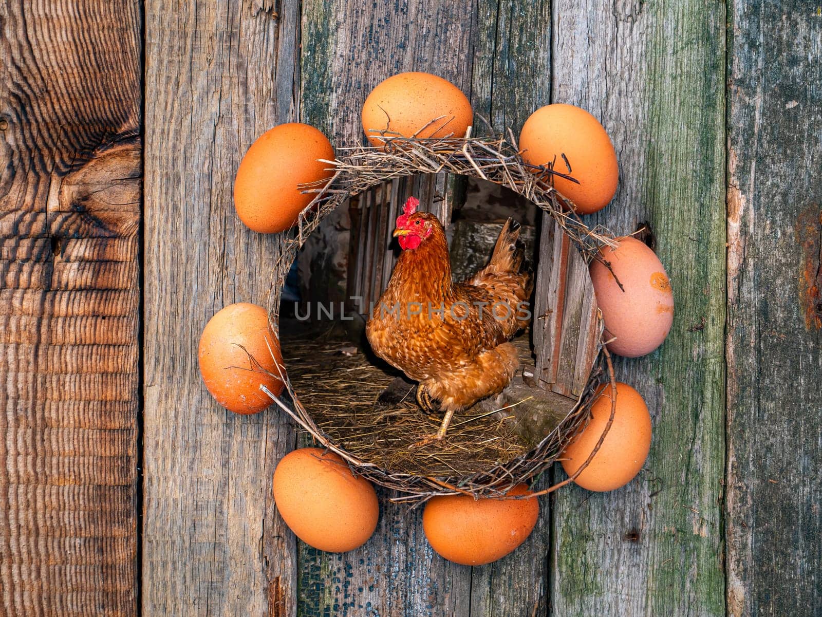 A circle of chicken eggs with a chicken in the center on a wooden table. Chicken eggs. Wooden table. Bird's Nest. Allocated space for text. Photo template. Agricultural business.