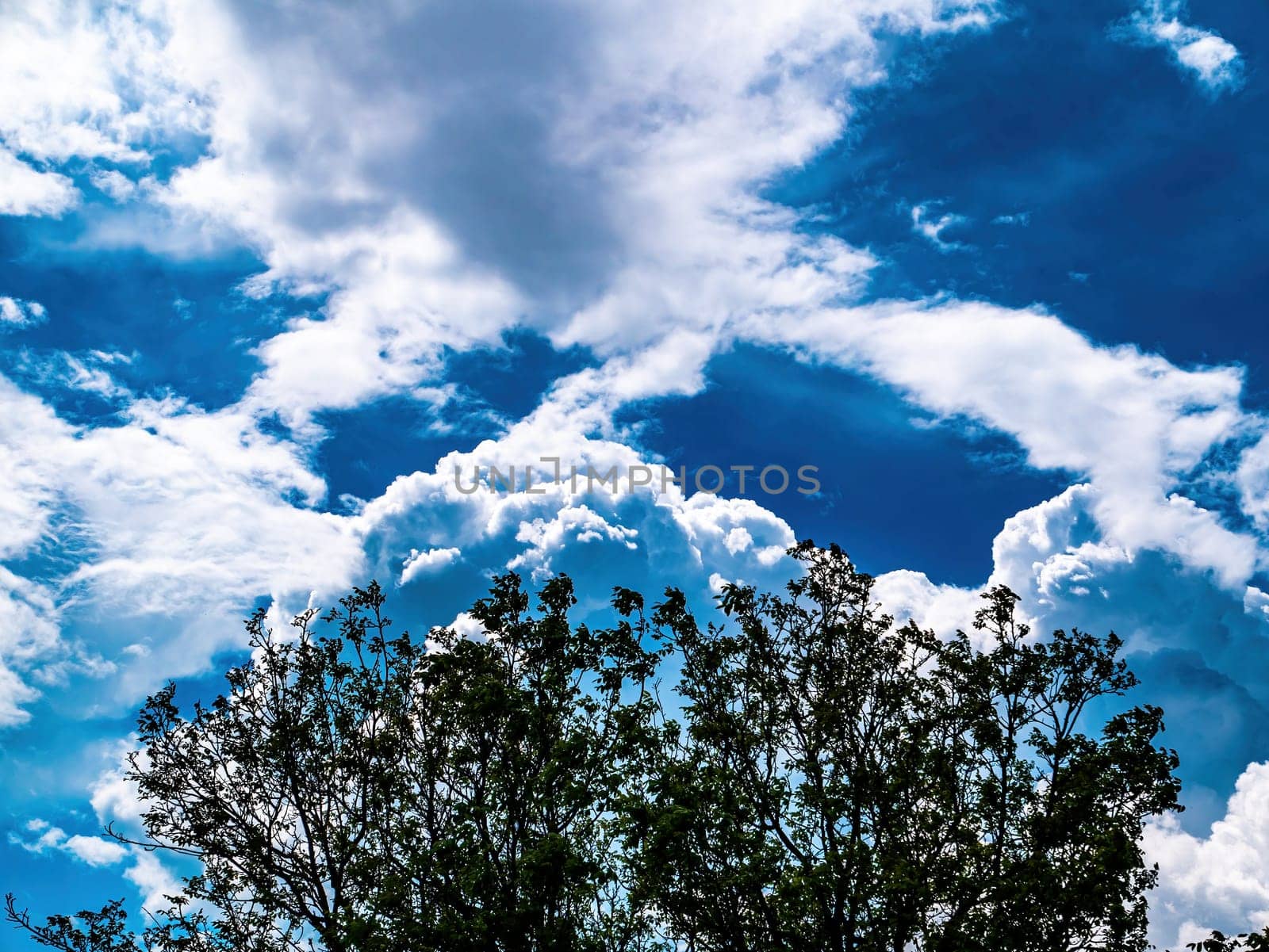 Branches of a tree on a background of a cloudy blue sky. Blue skies. White clouds. Thunderclouds. Green leaves. Branch of a tree. Sunny day. Natural landscape. Background image.