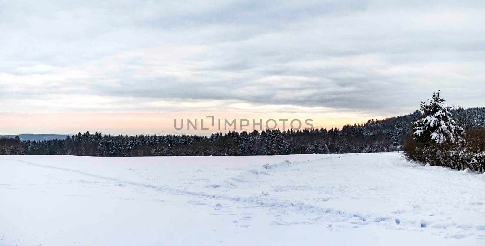 Beautiful panoramic landsape scene with a lot of snow in winter in Hesse Germany