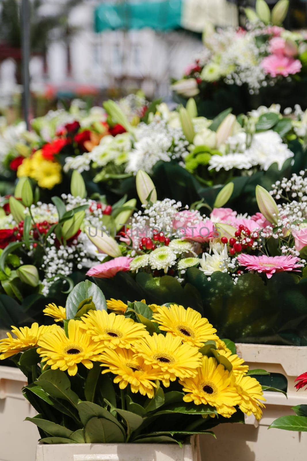 Flowers from the flower shop at the market in Lille
