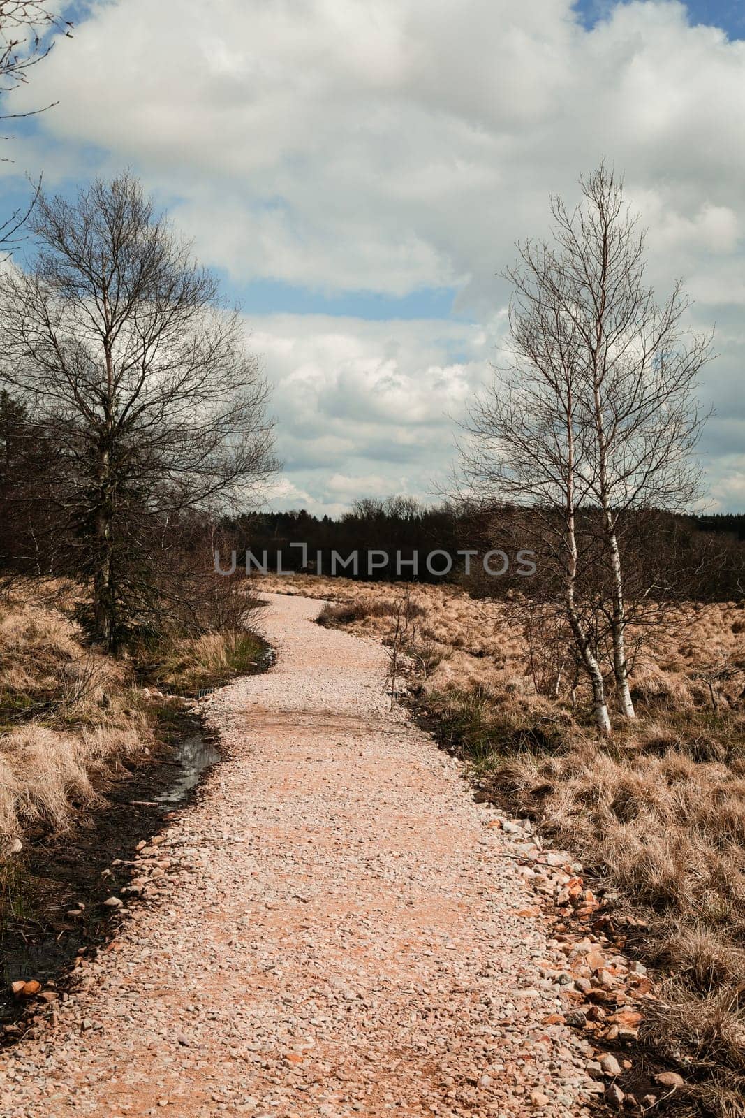 The High Fens, Hoge Venen, Belgium, Signal Van Botrange