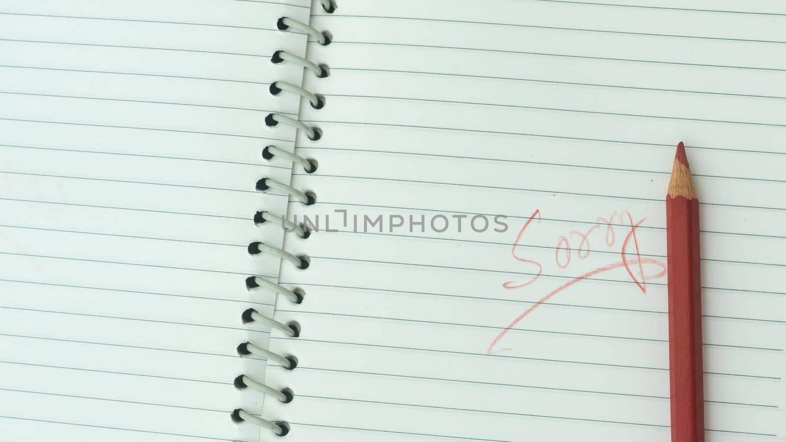 Sorry written on open notebook. Closeup. Mistake learning, blooper, regret sayings in love relationship friendship background. Feelings, apology, reconciliation, misunderstanding concept.
