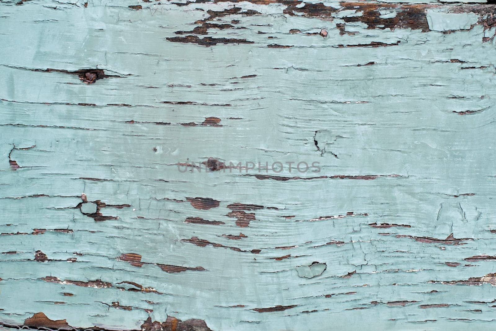 Blue wood texture background coming from natural tree. The wooden panel has a beautiful old pattern that is empty