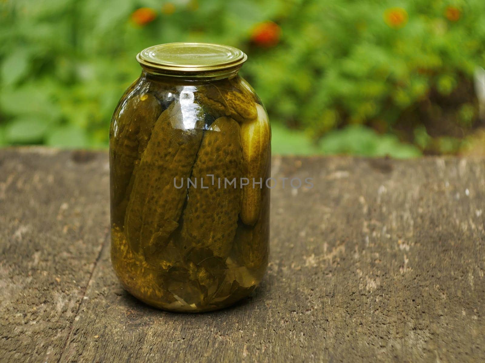 homemade canned cucumbers in a glass jar close-up
