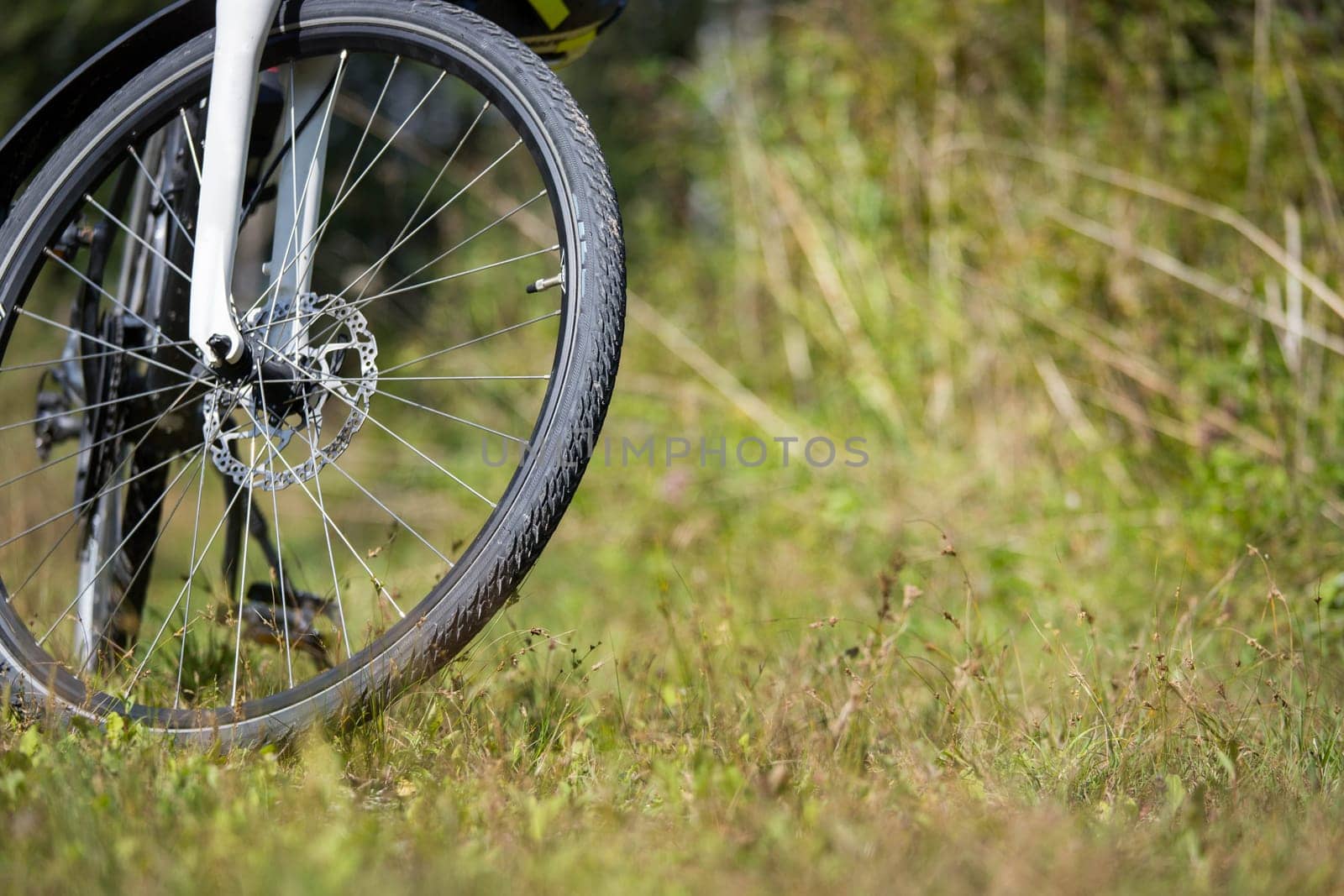 Bike tour. Bike, grass and wood. Outdoors, text space