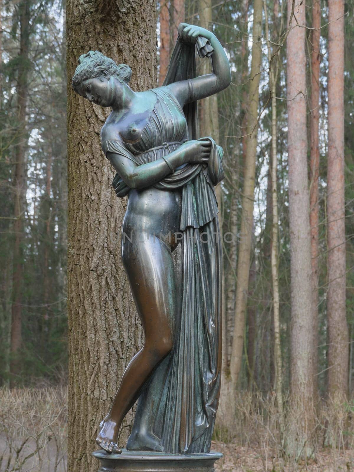 St. Petersburg  Russia  February 16, 2021 Venus bronze statue of a semi nude woman, against the background of trees in the park