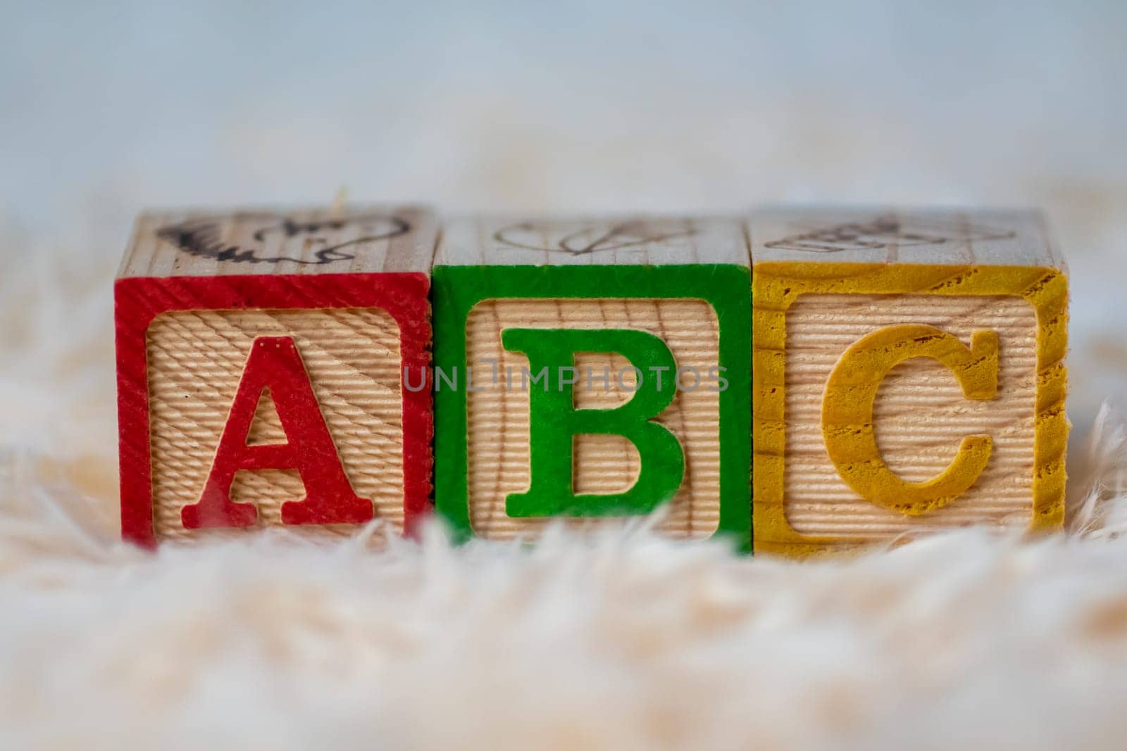 ABC wooden block in a row on fur