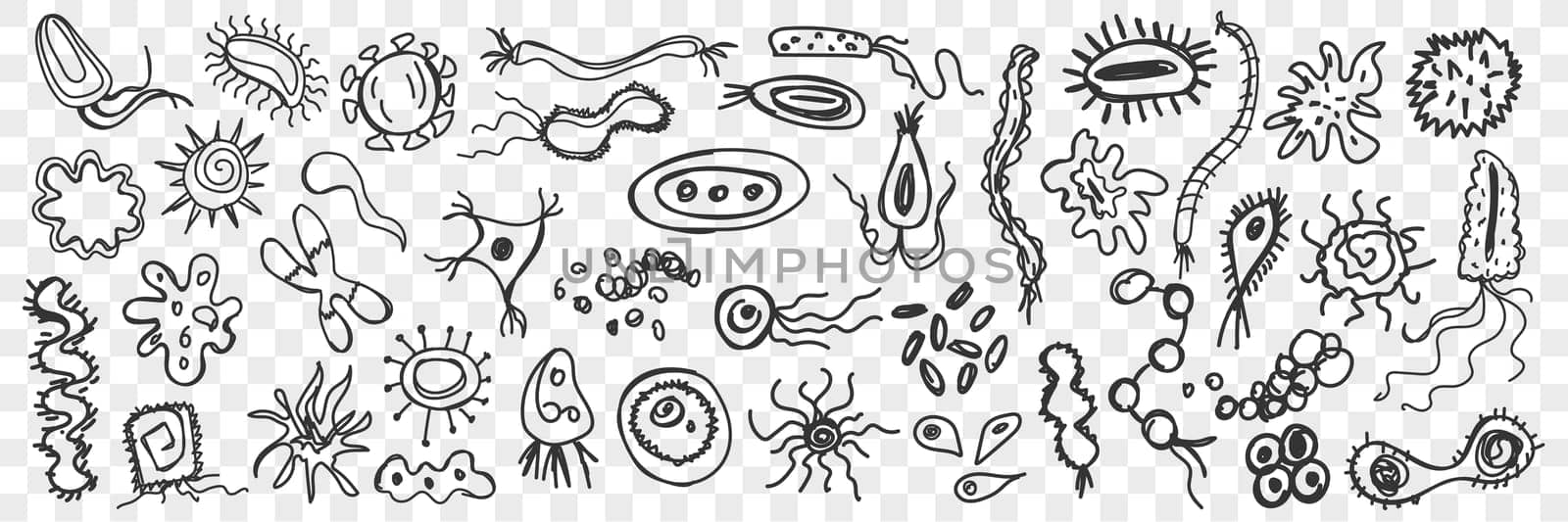 Microorganisms, bacteria doodle set. Collection of funny hand drawn unicellular bacterias of various shapes living on surfaces isolated on transparent background. Illustration of simplest life forms