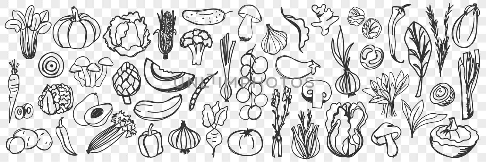 Vegetables doodle set. Collection of hand drawn fresh seasonal healthy ingredients vegetables isolated on transparent background. Illustration of carrot onion pepper avocado potato mushroom eggplant
