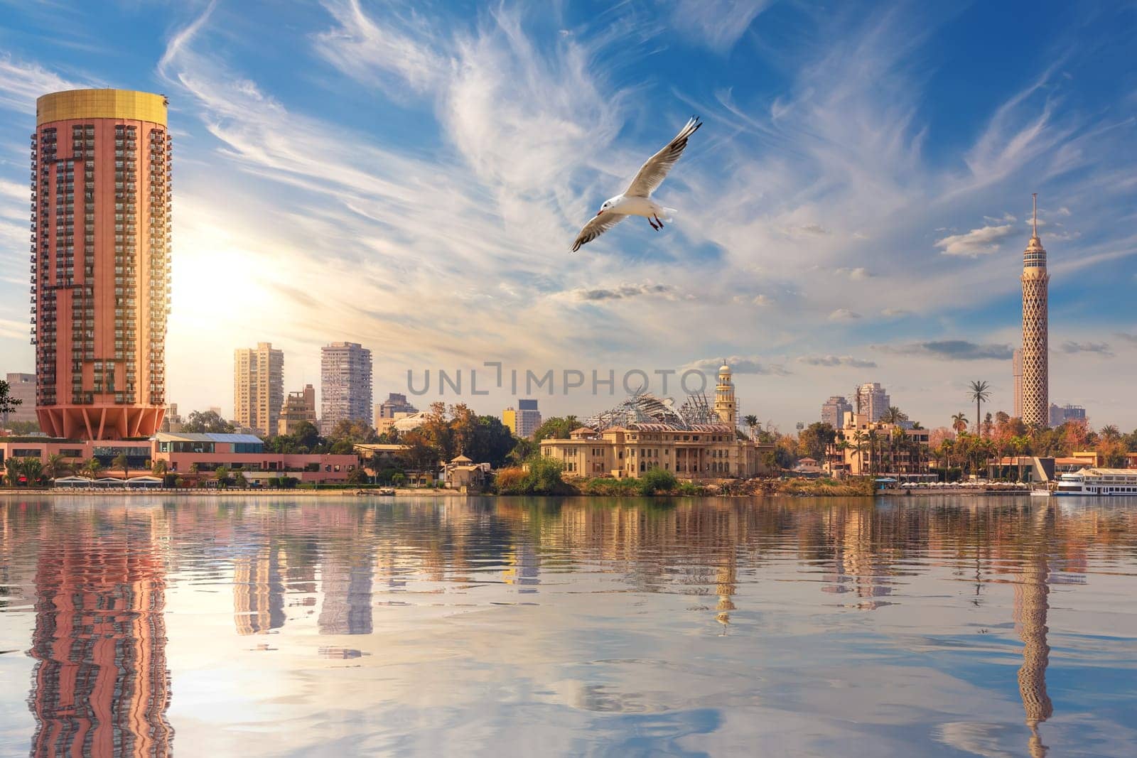 Seagull flies by Cairo downtown, TV Tower and fashionable hotels in the harbour of the Nile, Egypt.