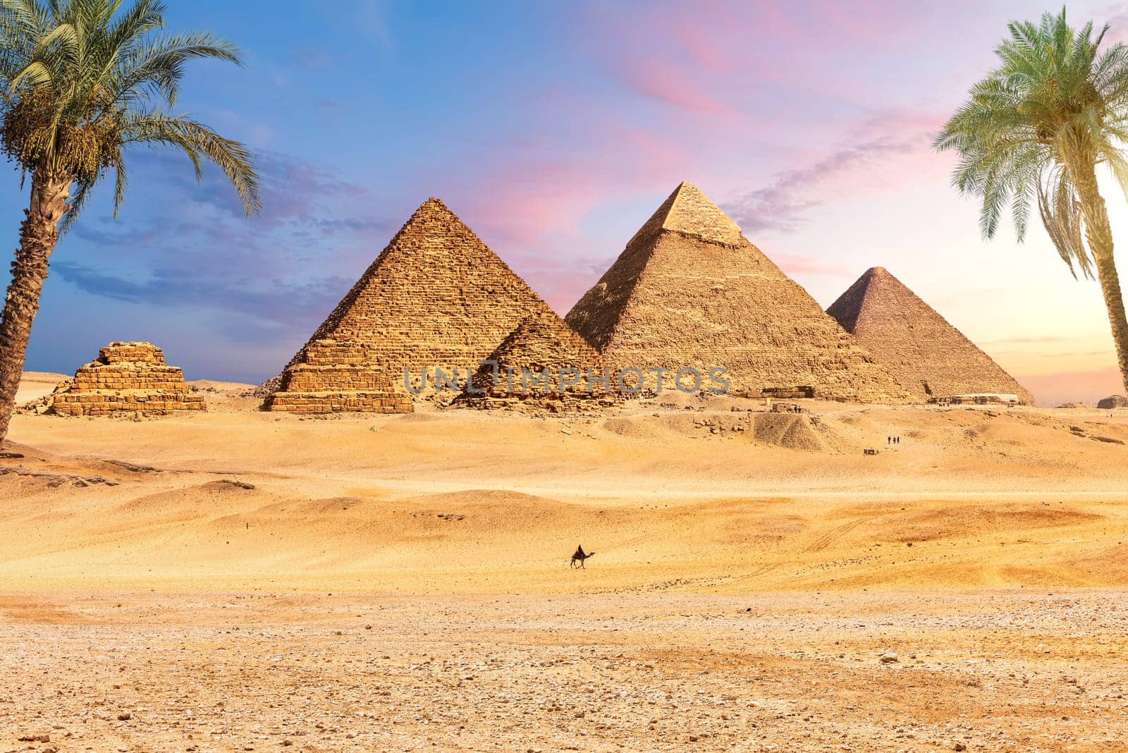 Famous Great Pyramids of Egypt behind the palms, Giza, Cairo district.
