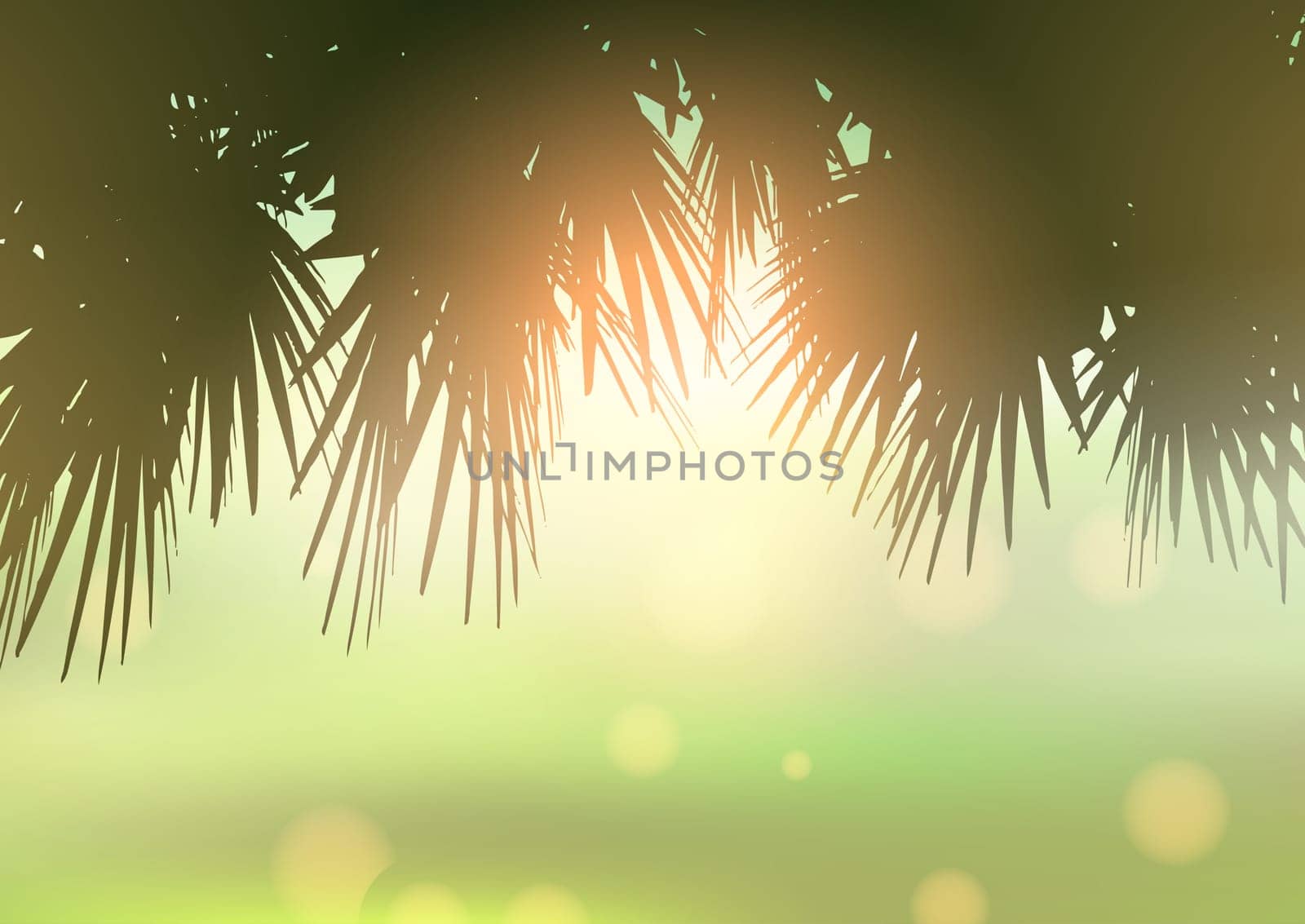 Palm tree leaves against a bokeh light background