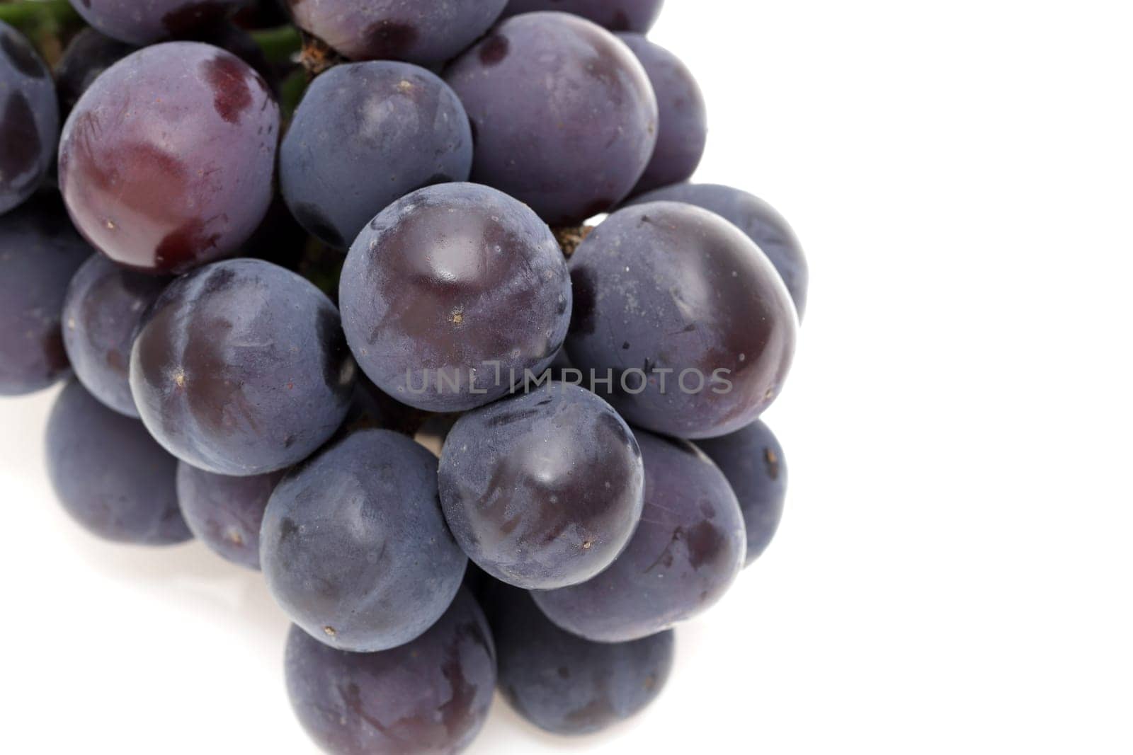 bunch of ripe purple grapes isolated on white background