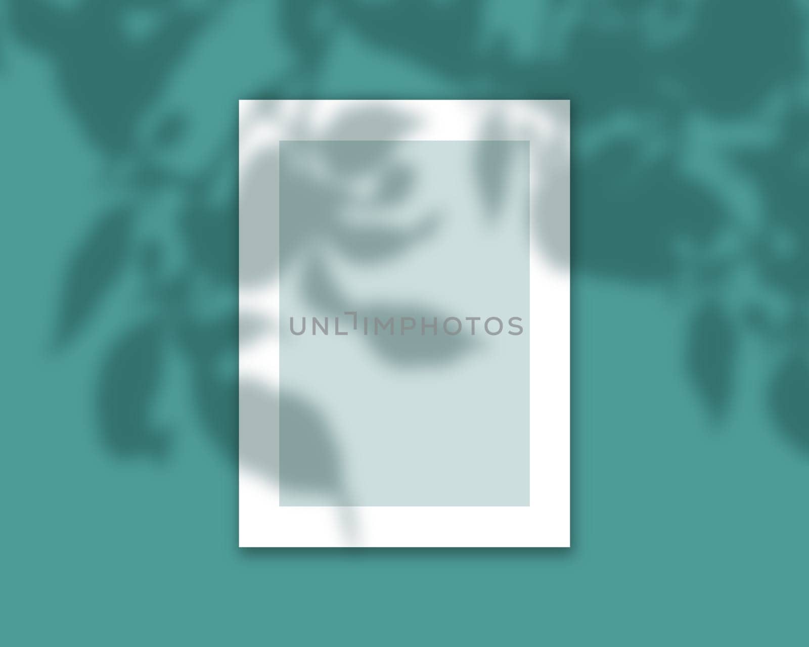 3D render of a book cover mock up with shadow overlay