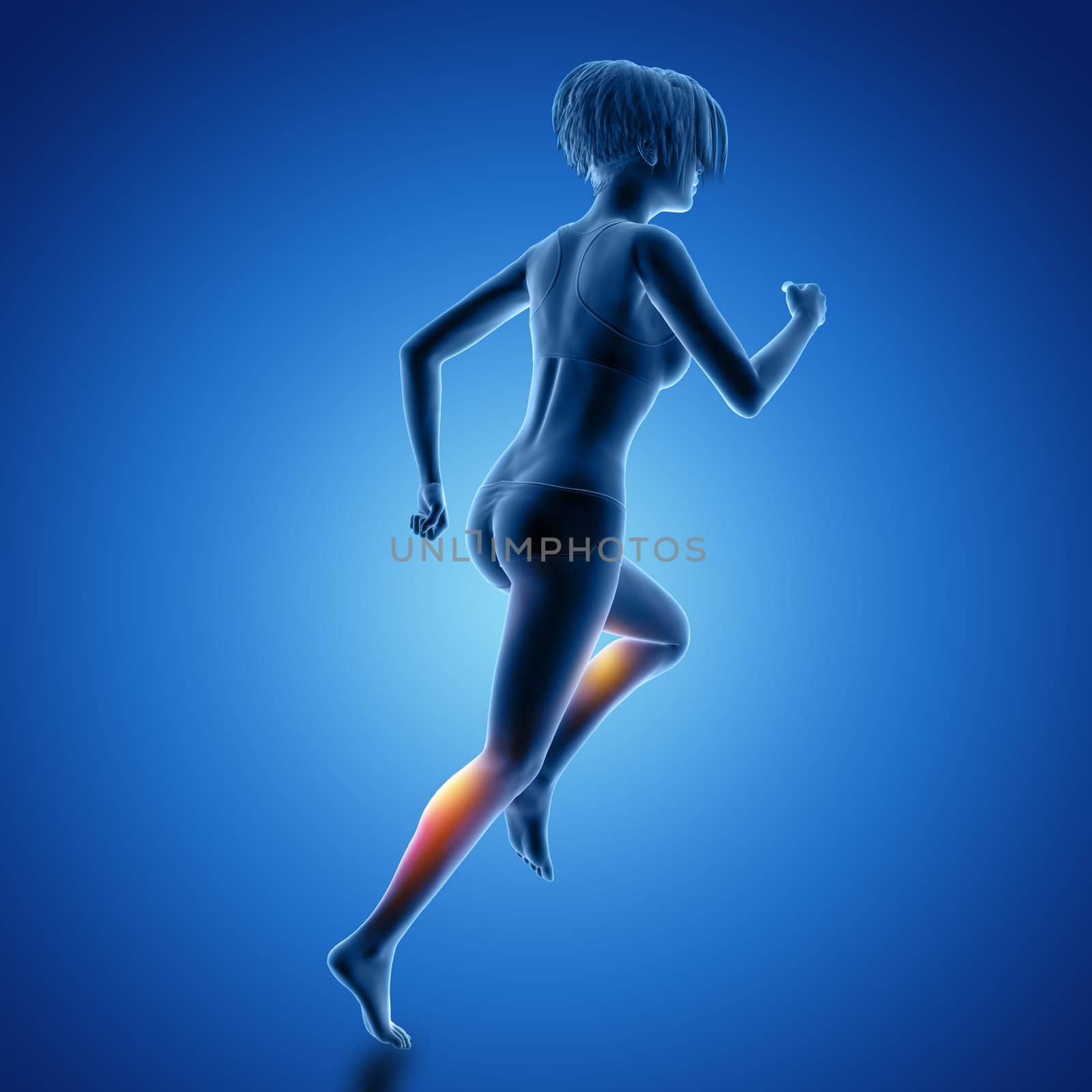 3D render of a female figure in running pose with muscles used highlighted
