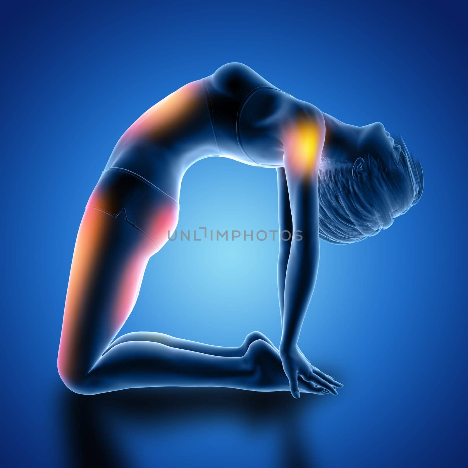 3D render of a female figure in camel pose with muscles used highlighted