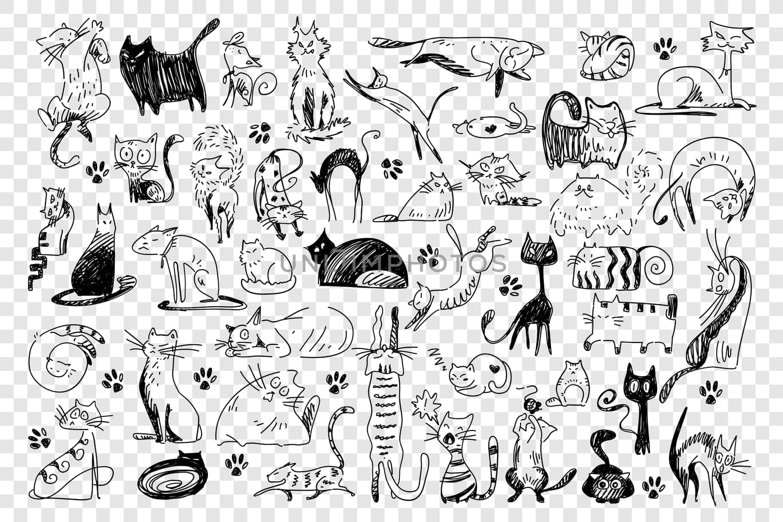 Cats doodle set. Collection of hand drawn childish patterns domesticated animals kitties kitten pets in different poses isolated on white background. Human friends vector illustration for kids.