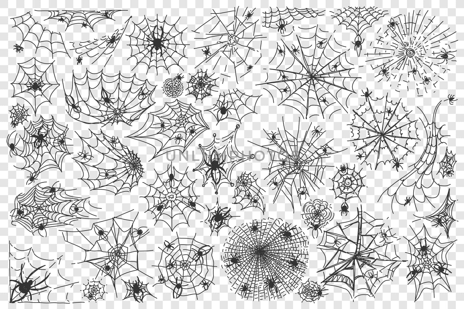 Spider web doodle set. Collection of arachnid net trap for insects halloween symbol isolated on transparent background. Internet metaphor and tattoo template illustration.