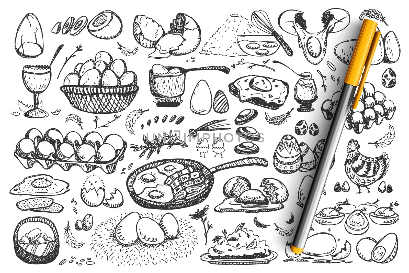 Chicken eggs doodle set. Collection of healthy meal fried scrabled hen product egg breakfast food nutrition isolated on white background. Easter symbol celebration illustration.