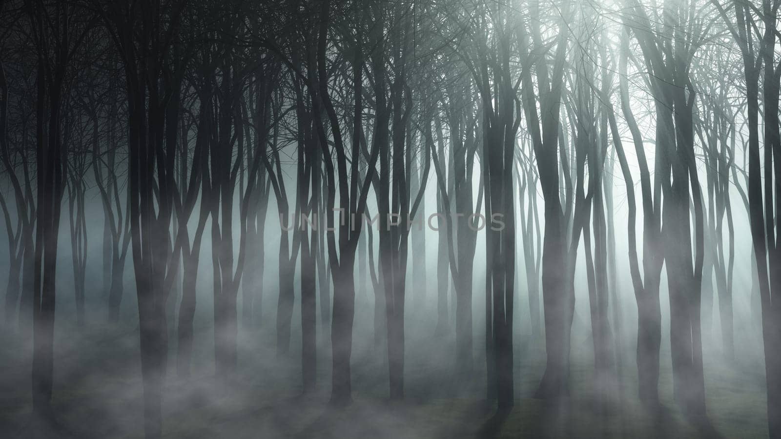 3D render of a foggy forest landscape