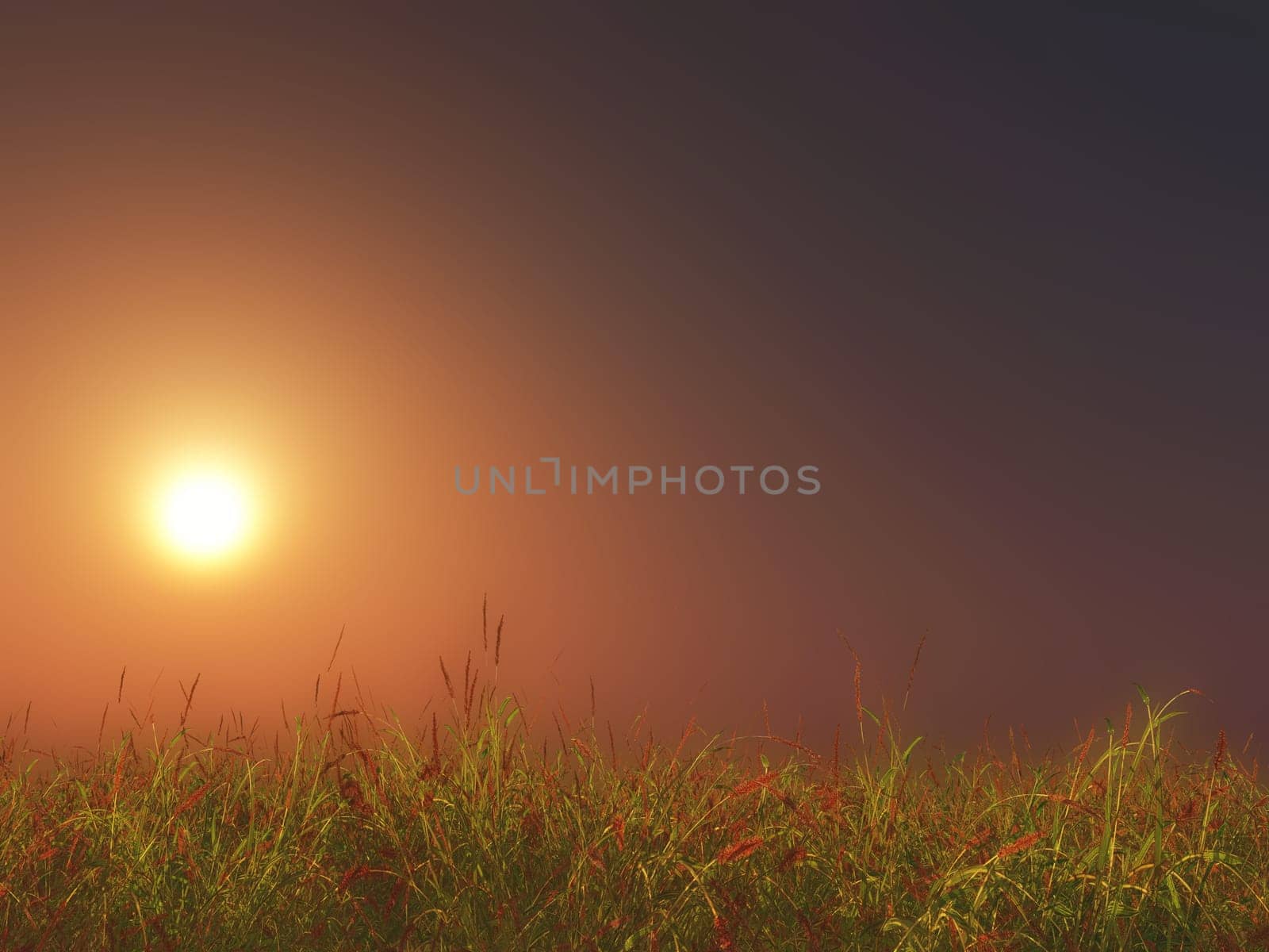 3D render of a grassy landscape against sunset sky