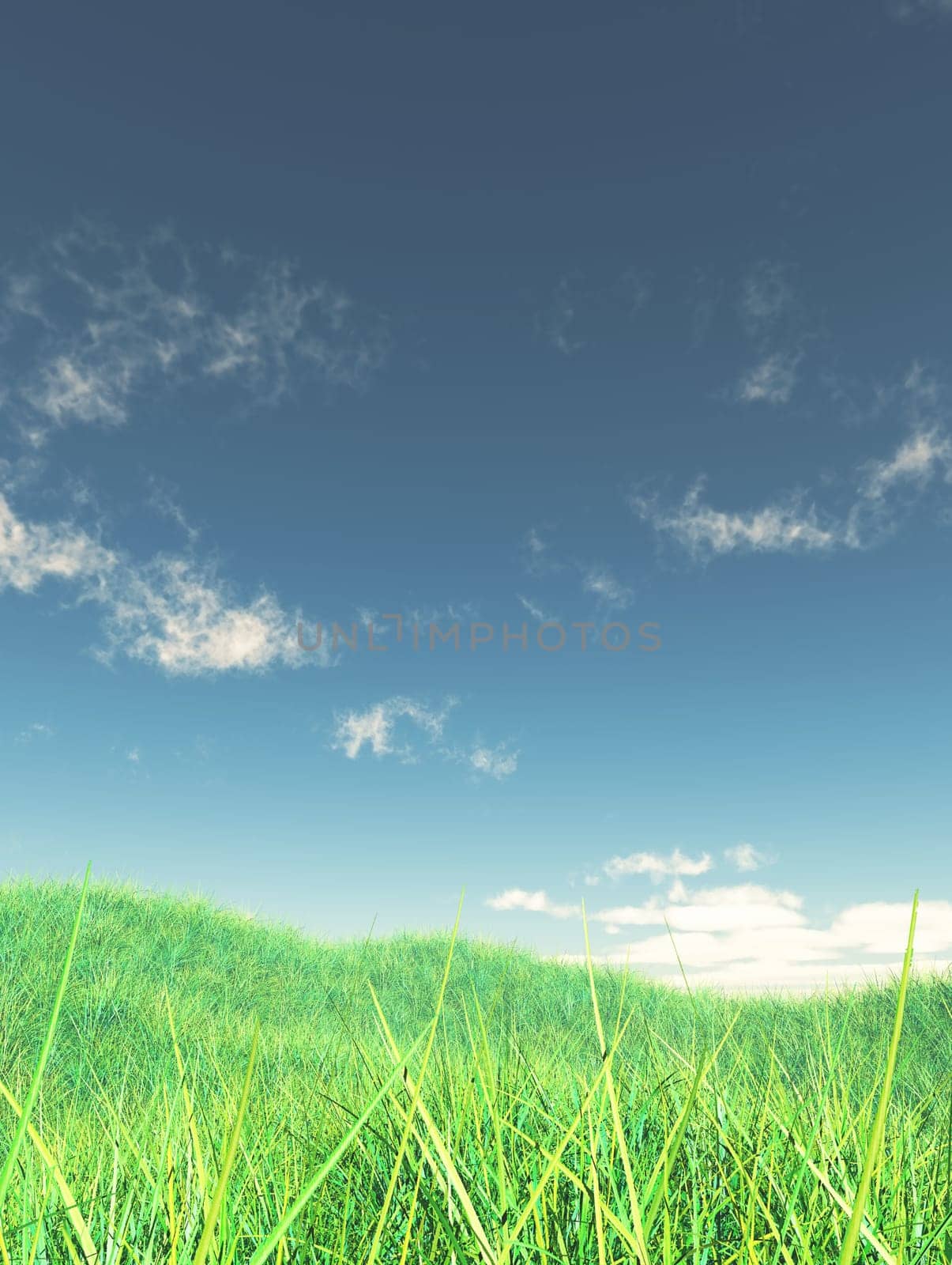 3D render of a grassy landscape with blue sky