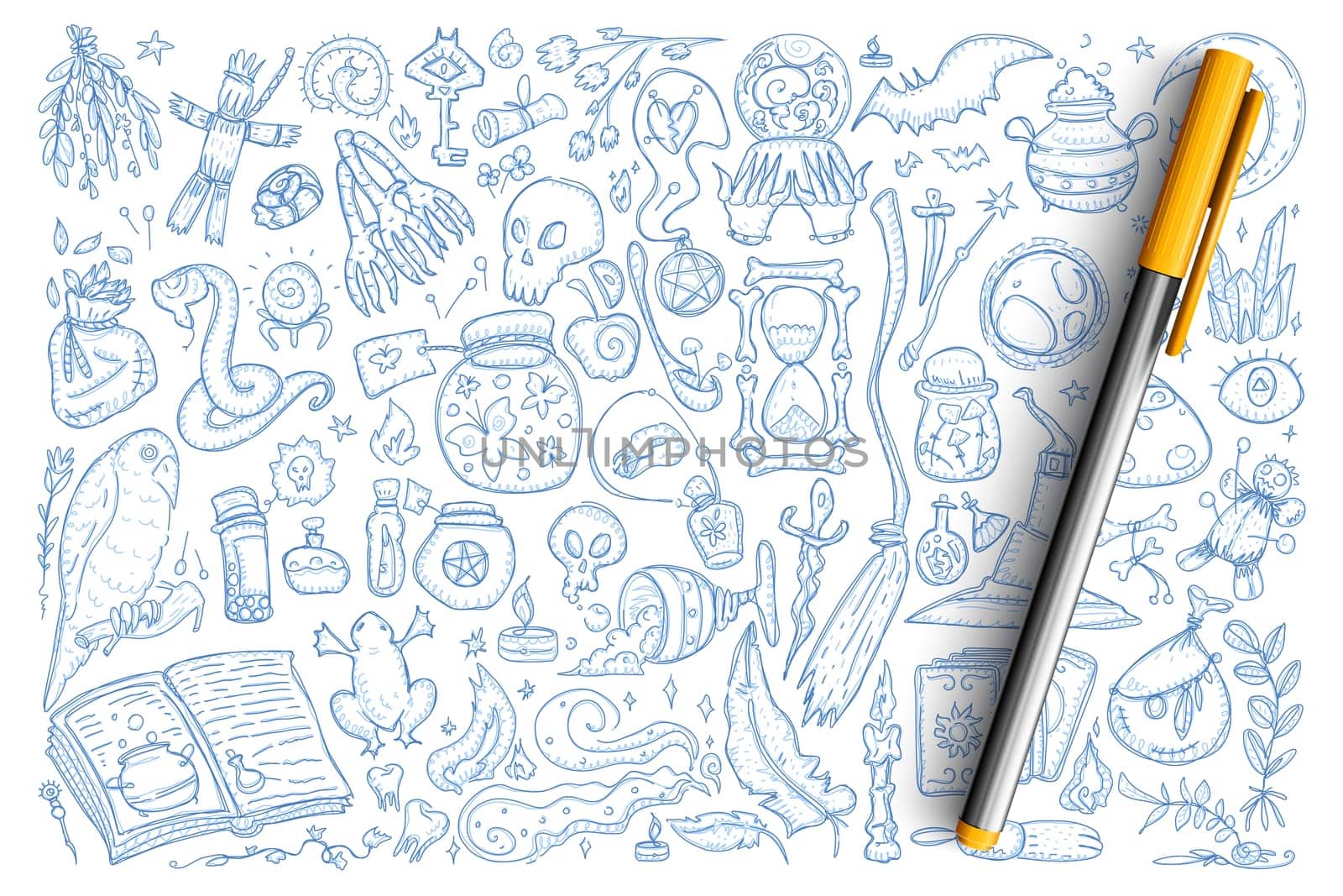 Witchcraft magic symbols doodle set. Collection of hand drawn frogs, poisons, snake, voodoo doll, skull and other tools for witchcraft isolated on transparent background. Illustration of esoteric