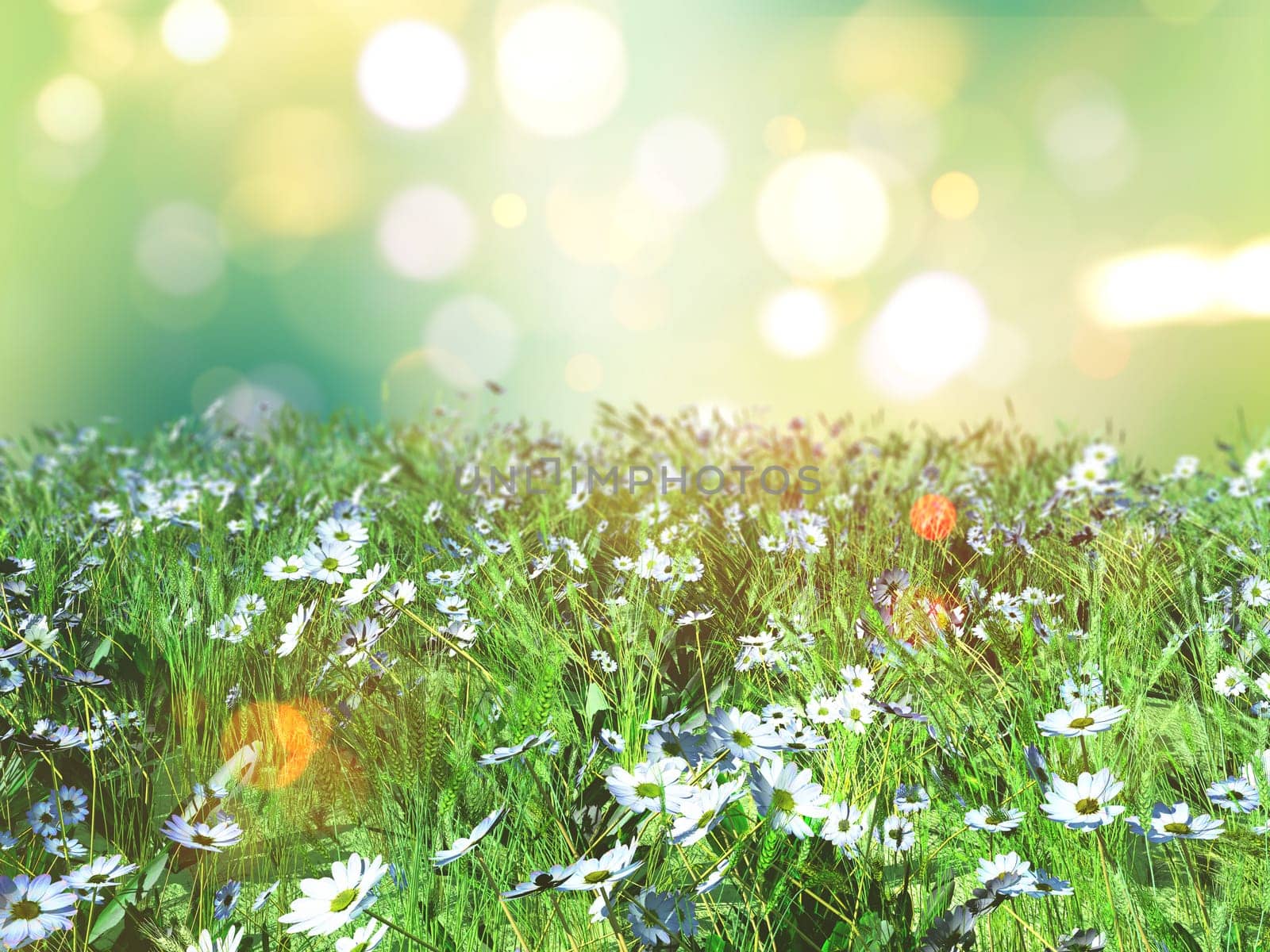 3D render of a landscape of daisies in grass