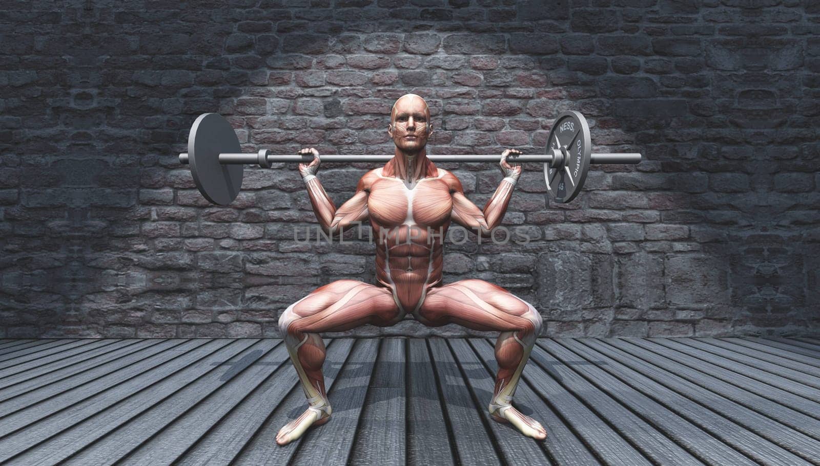 3D render of a male figure in barbell squat pose in grunge interior