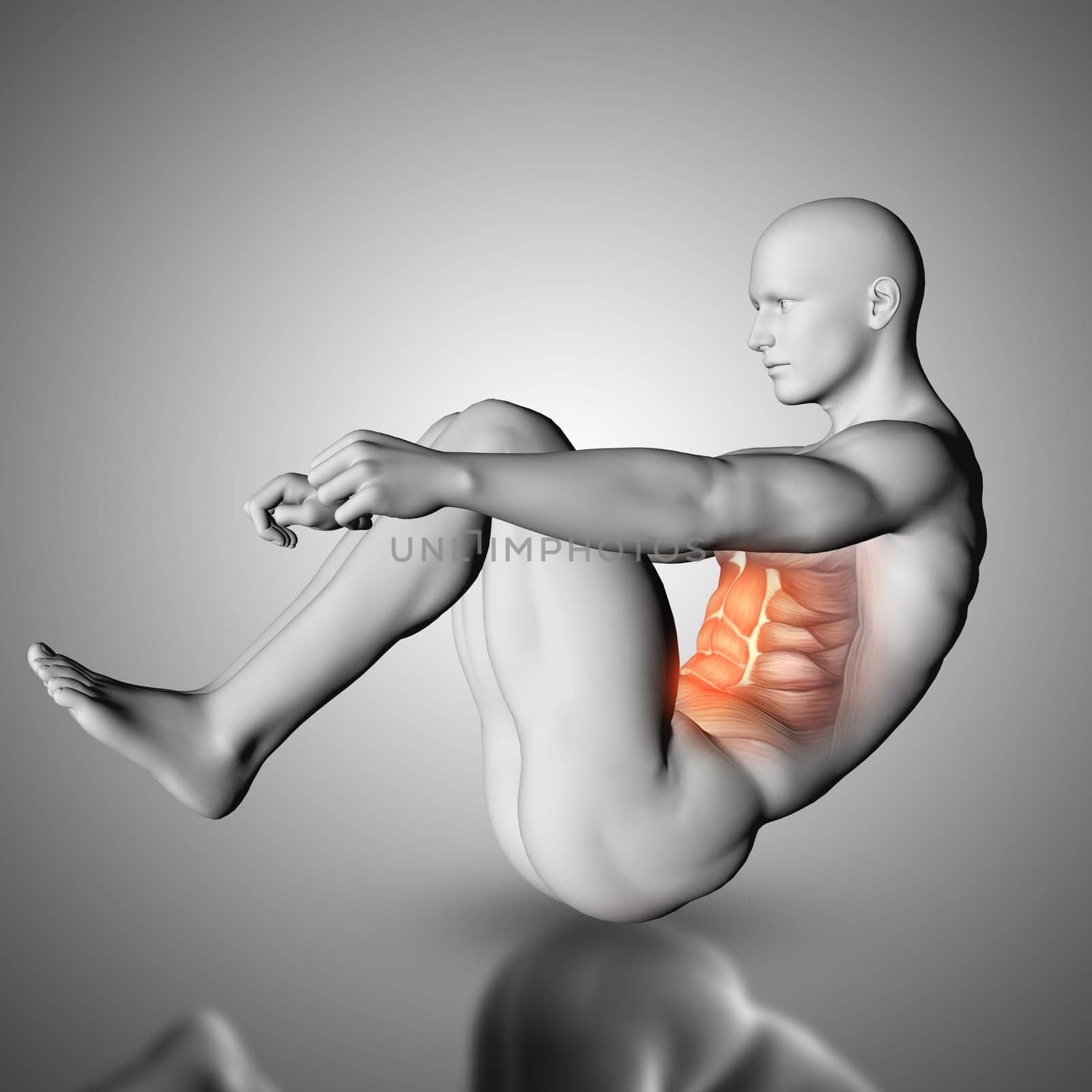 3D render of a male figure doing crunch exercise with stomach muscles highlighted