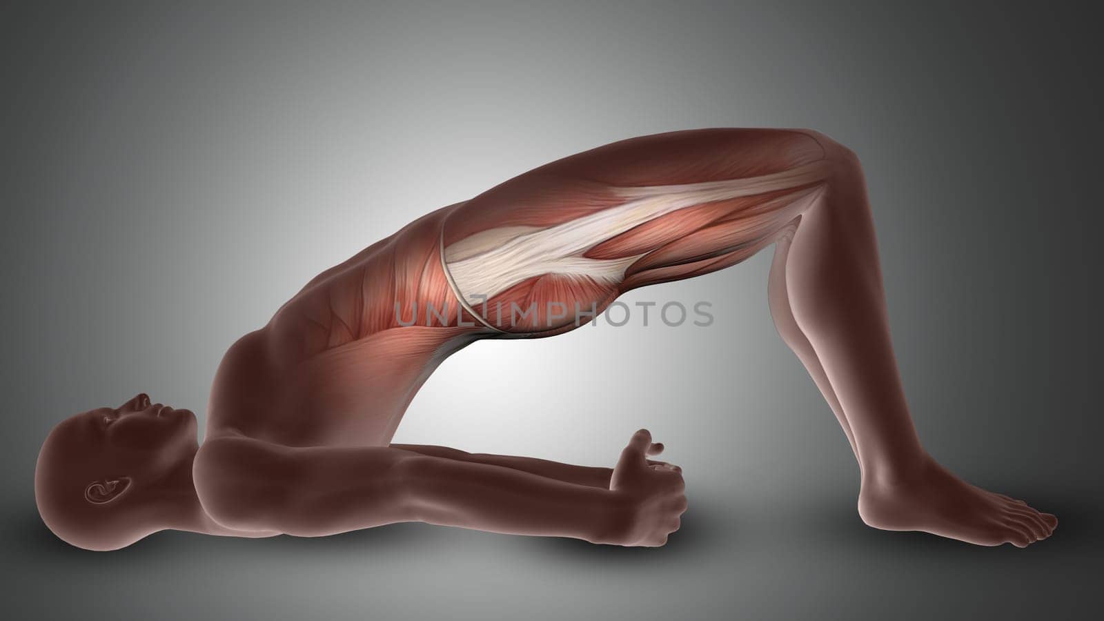 3D render of a male figure in yoga pose with glute muscles highlighted