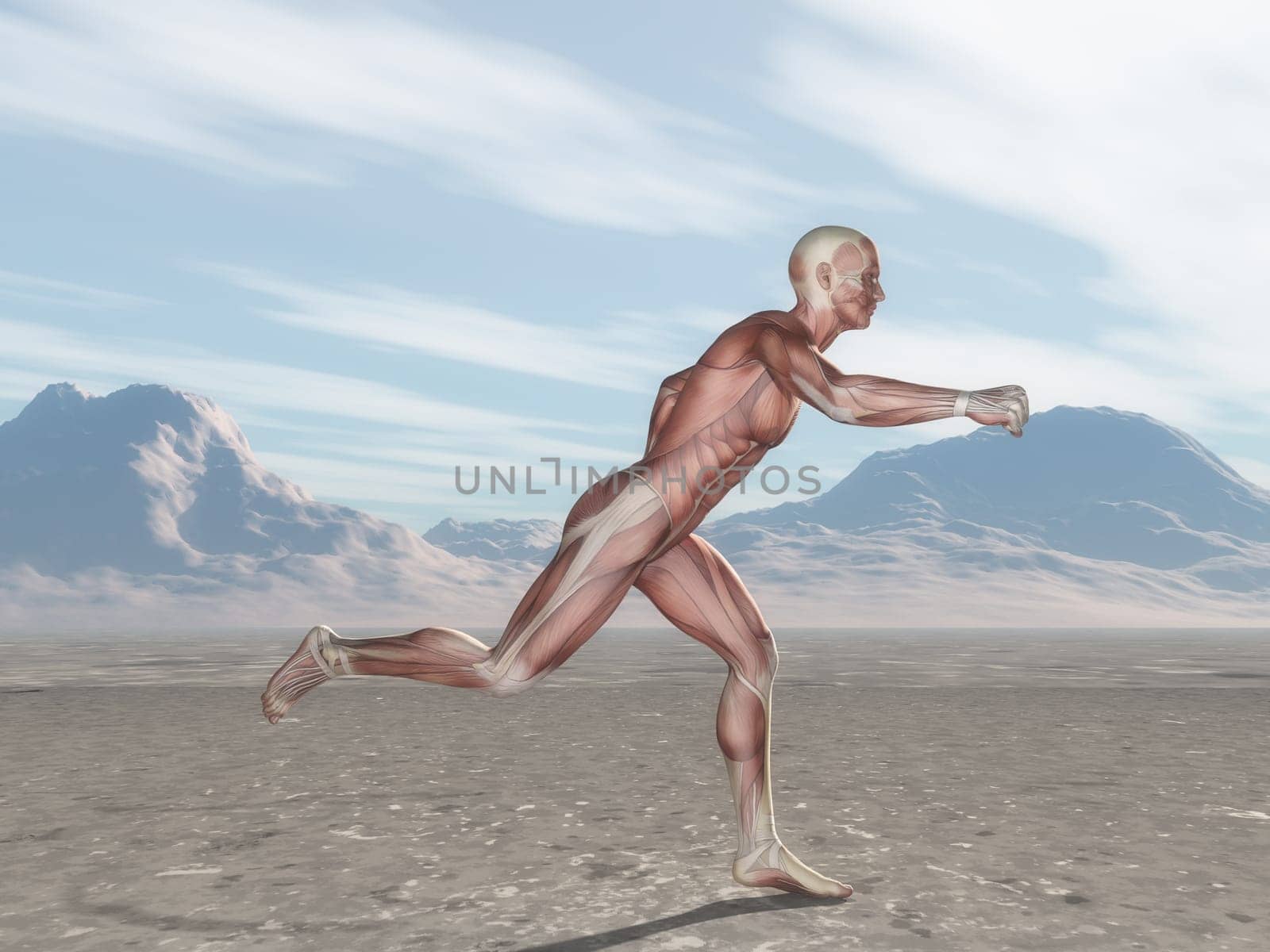 3D render of a male figure with muscle map running in landscape