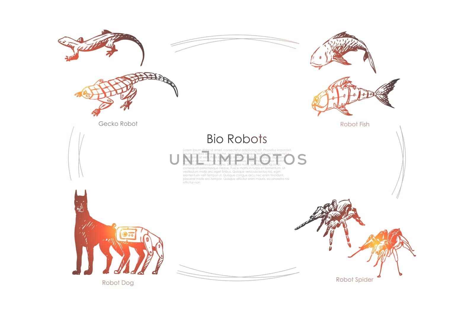 Bio robots - robot fish, dog, spider and gecko vector concept set. Hand drawn sketch isolated illustration