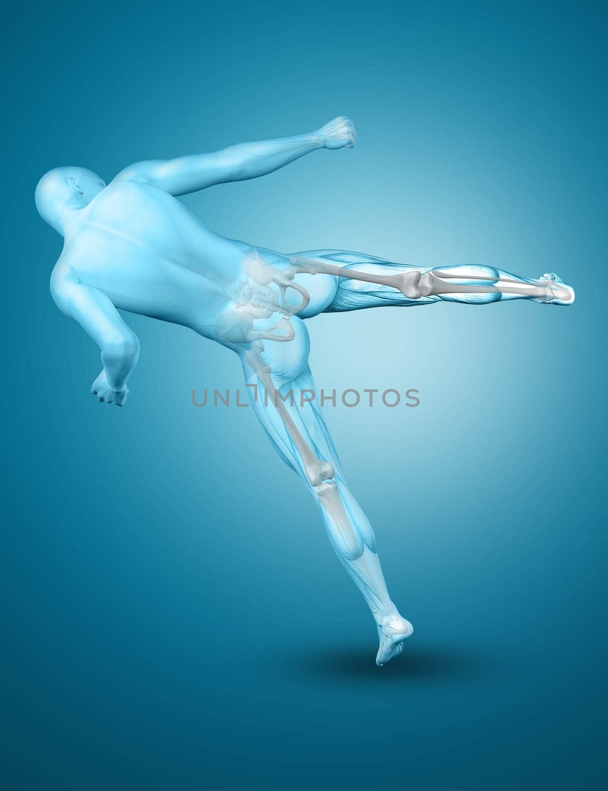 3D render of a male medical figure in a kick boxing pose
