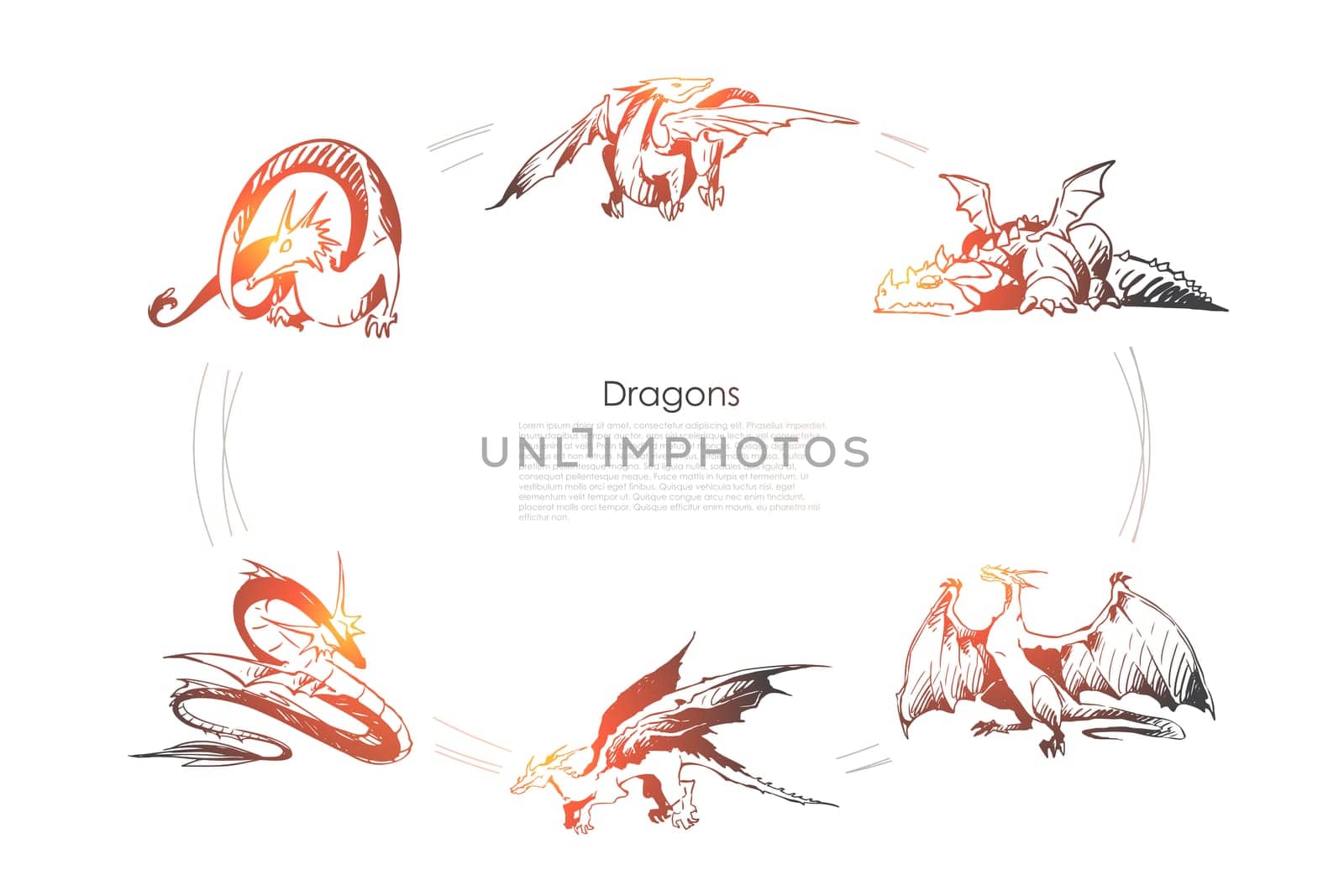 Dragons - different types of dragons vector concept set. Hand drawn sketch isolated illustration