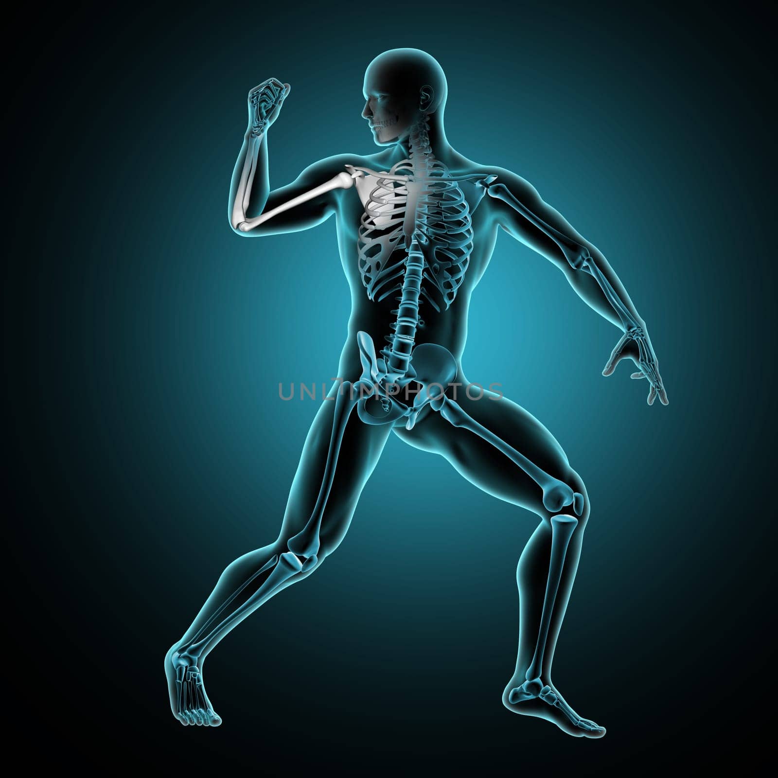 3D render of a male medical figure with arm raised and arm bones highlighted