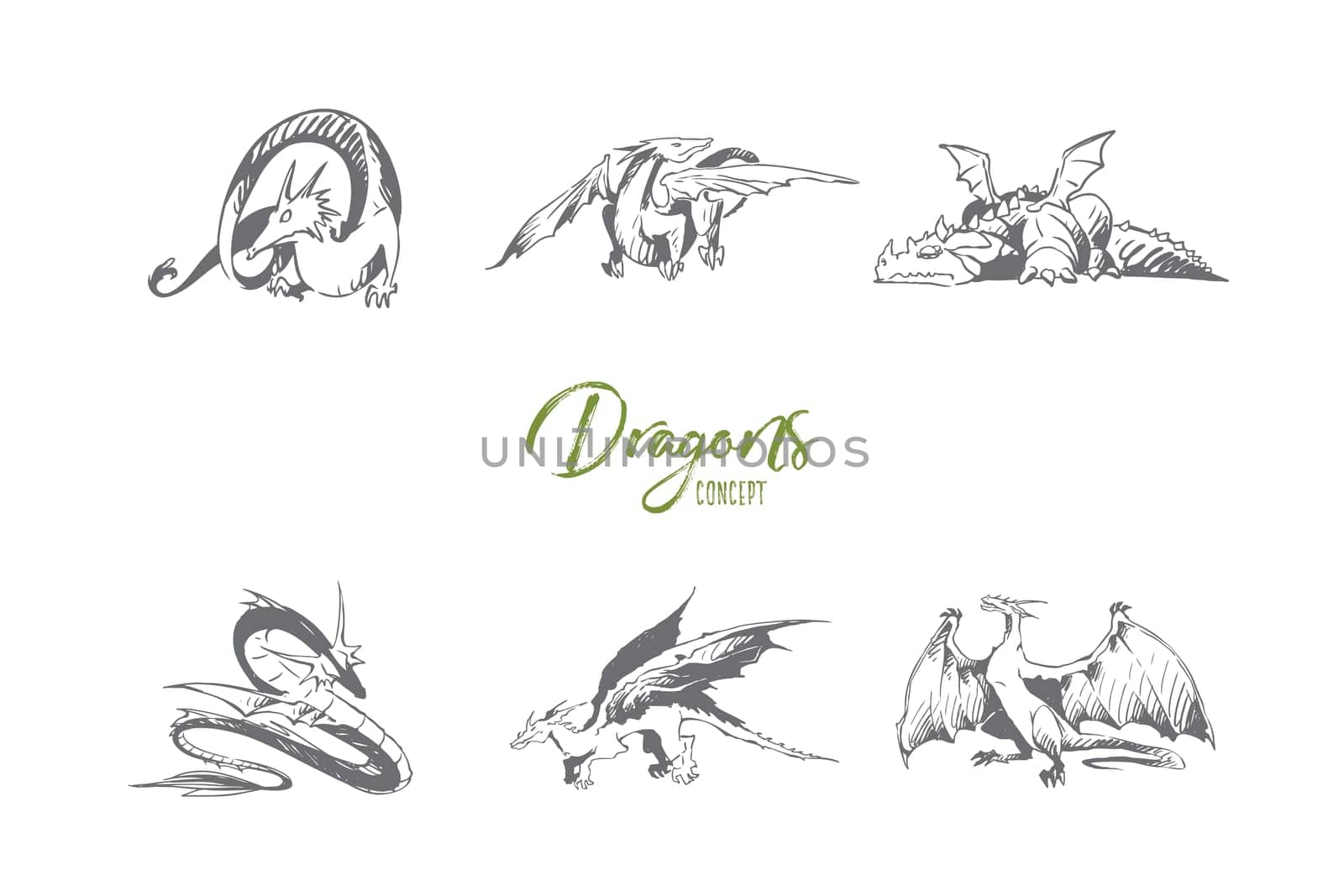 Dragons - different types of dragons vector concept set. Hand drawn sketch isolated illustration
