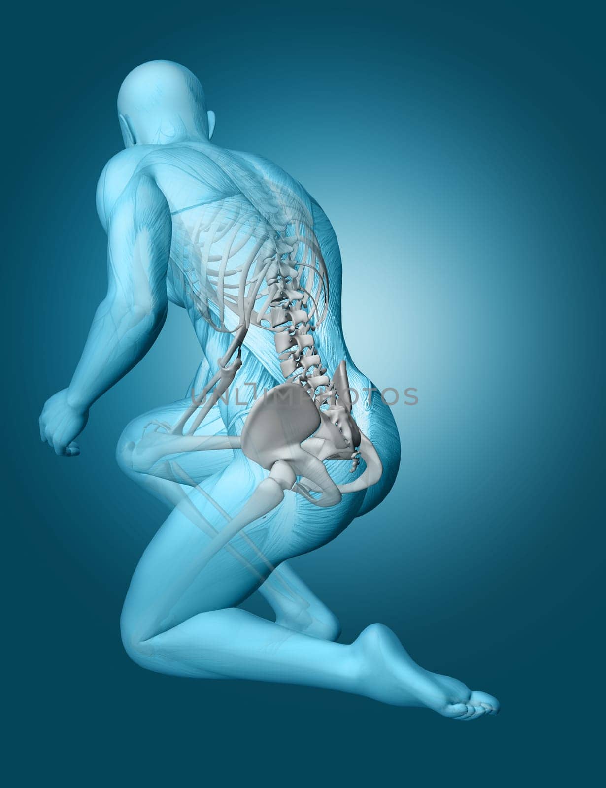 3D render of a male medical figure with spine highlighted