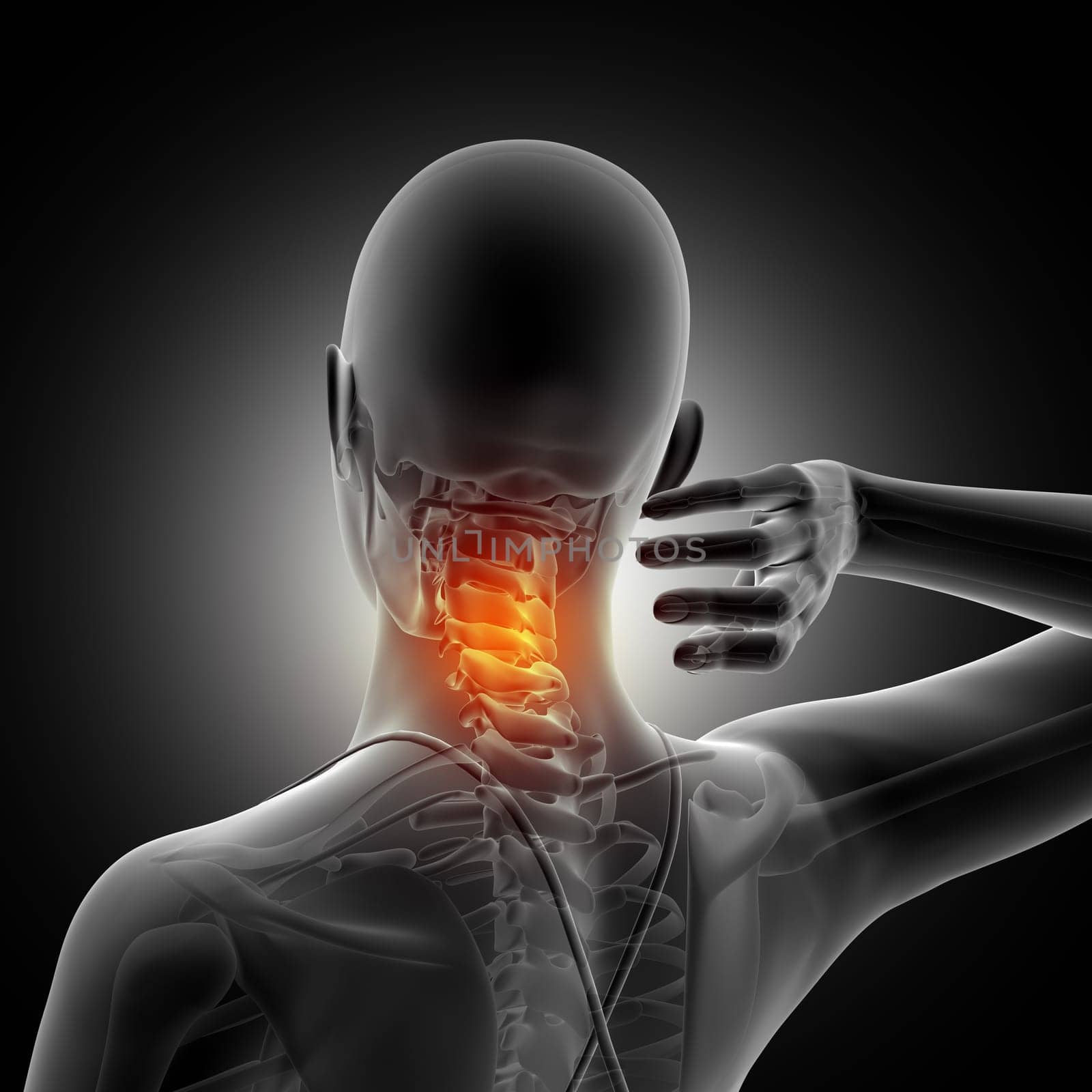 3D render of a medical background of a female figure with neck bone highlighted