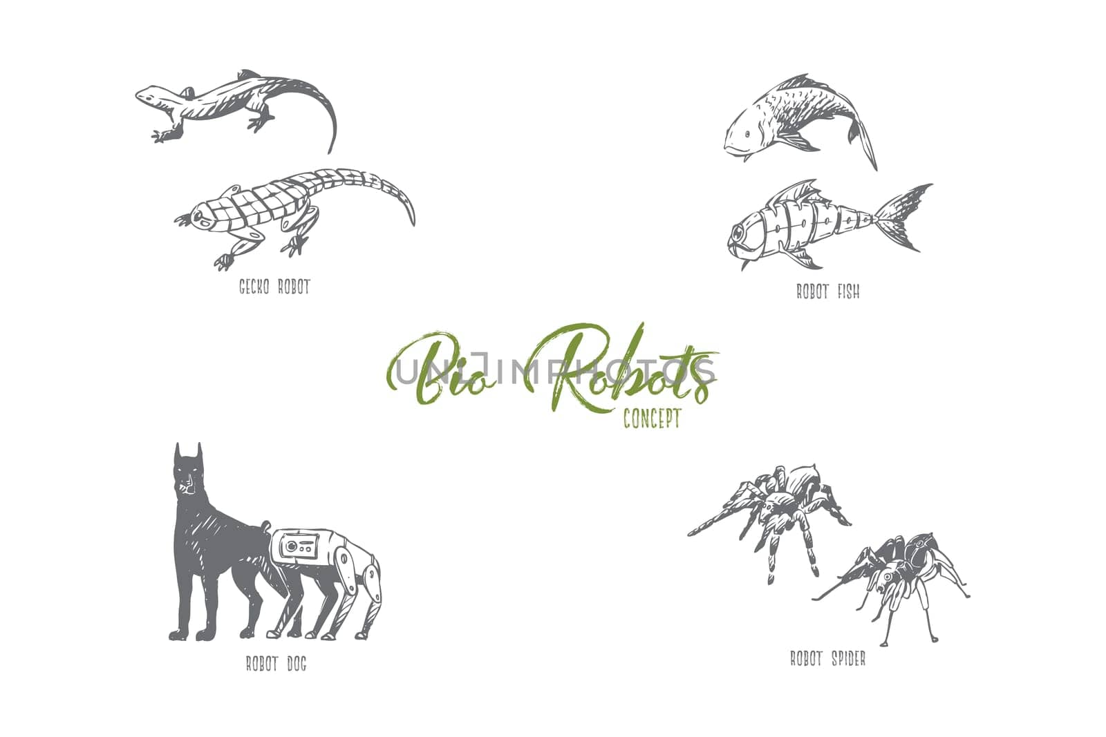 Bio robots - robot fish, dog, spider and gecko vector concept set. Hand drawn sketch isolated illustration
