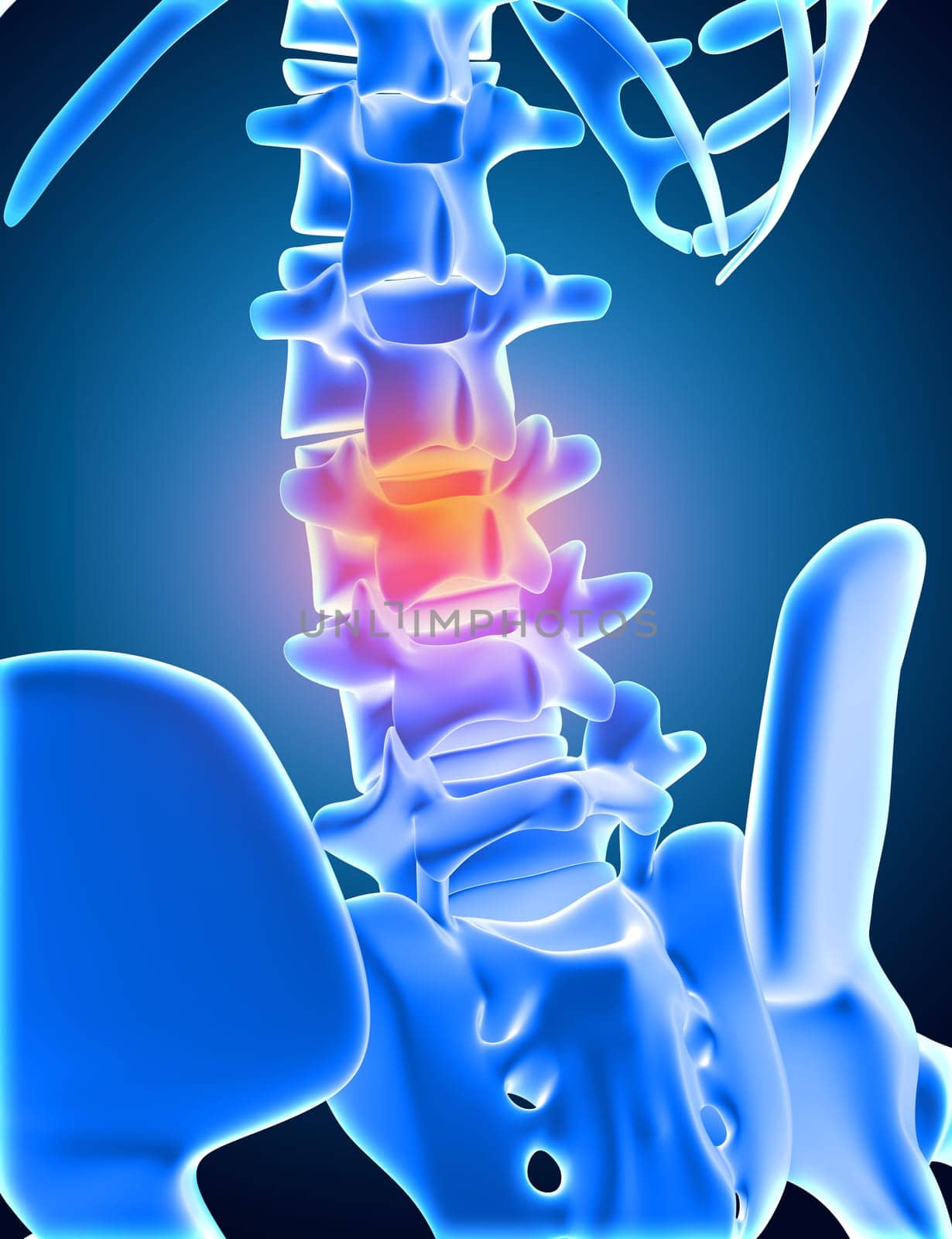 3D render of a medical background of skeleton with lower spine highlighted