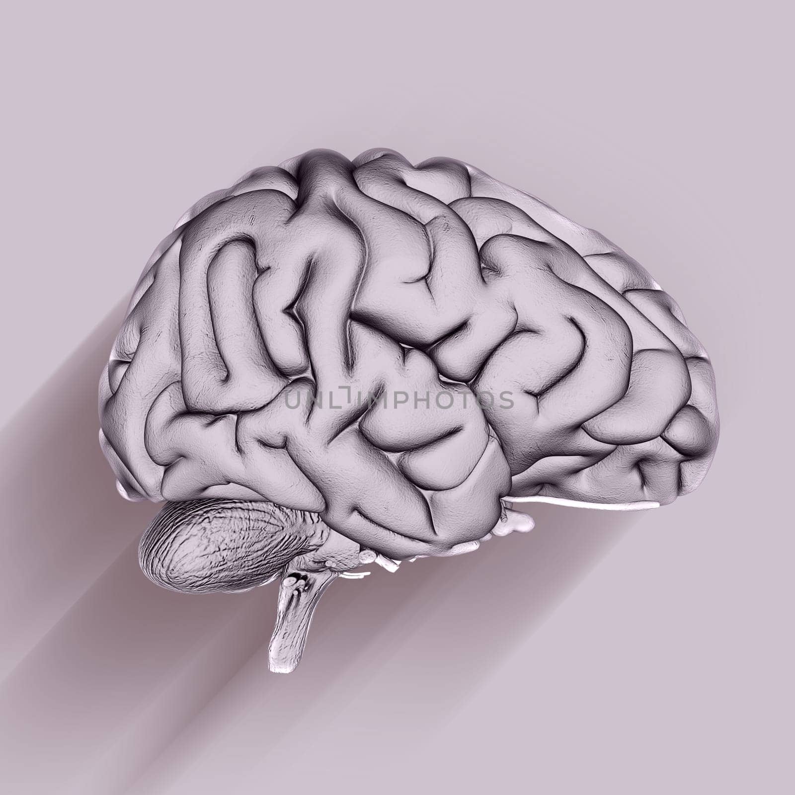 3D render of a medical background with brain