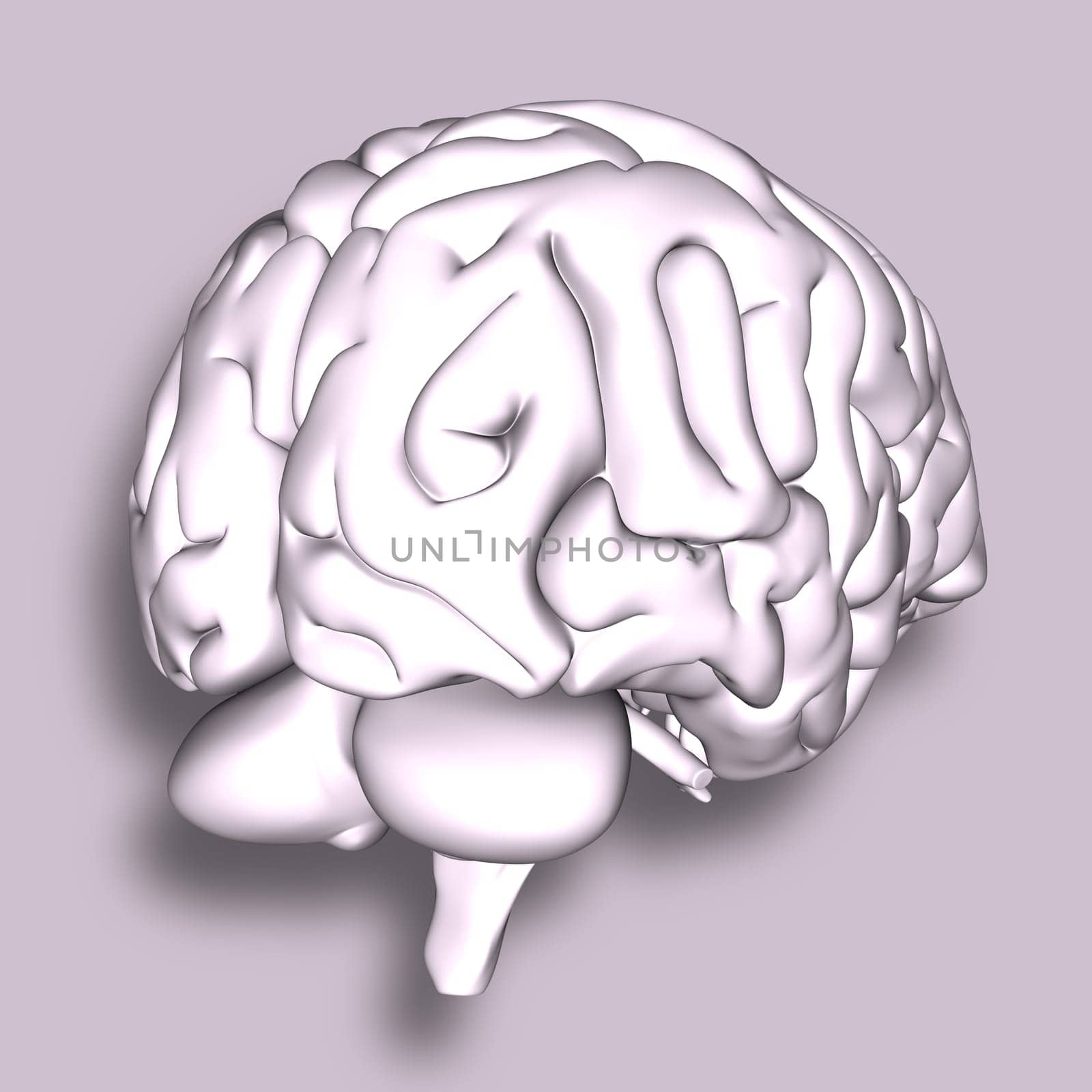 3D render of a medical background with brain
