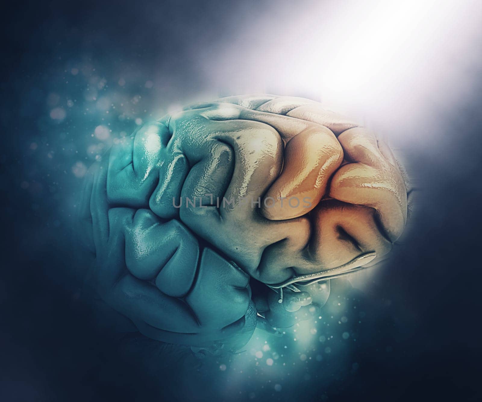 3D render of a medical figure of a brain with frontal lobe highlighted